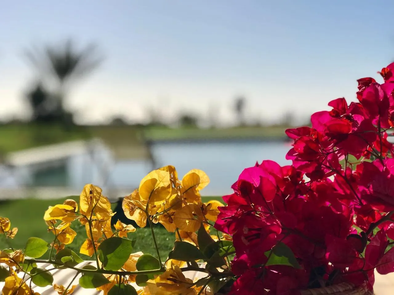 La Pausa Villa Tias