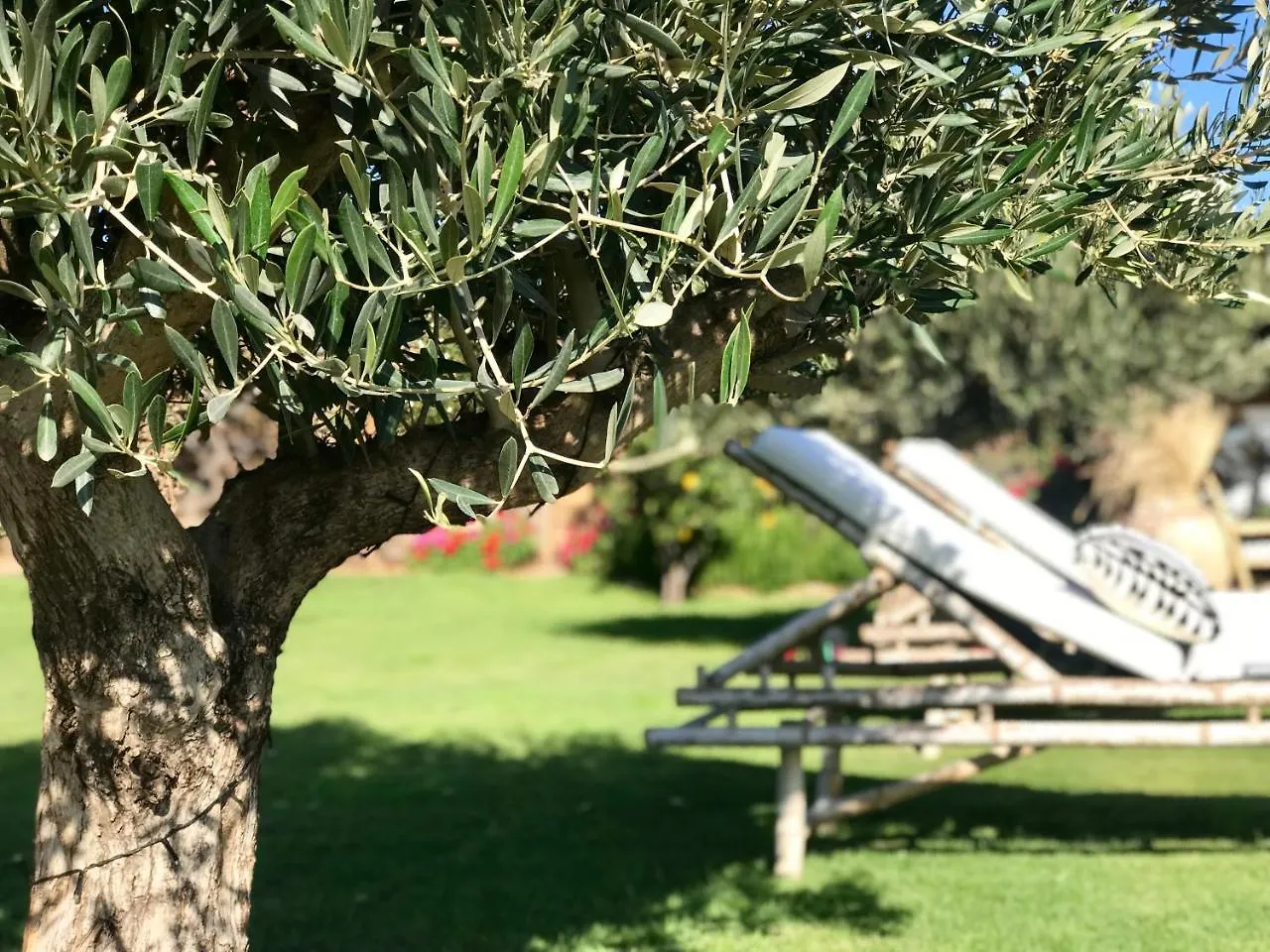 La Pausa Villa Tias